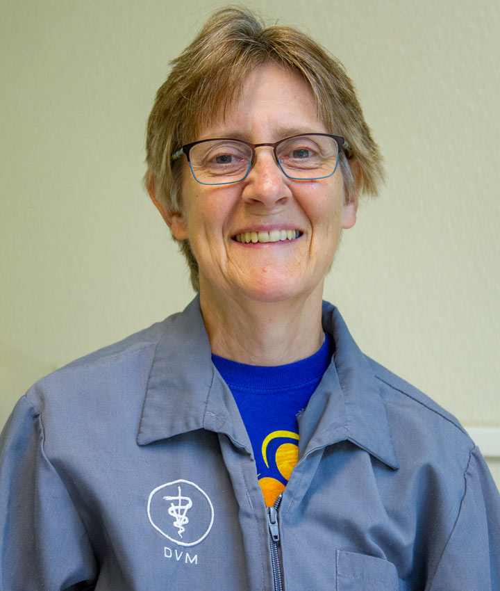 Patricia Vayo-Sollman