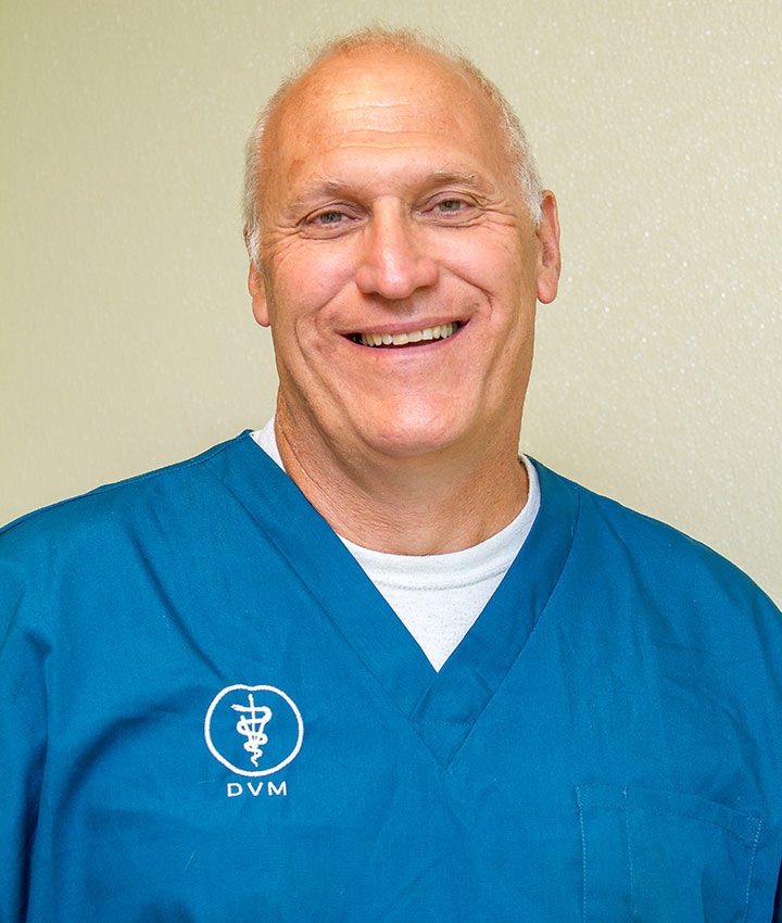 Dr. Stephen L. Sollman, DVM